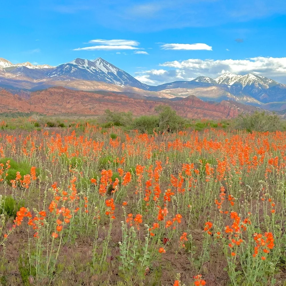 Us🤠🐶🔨 - Picture 8 of 16